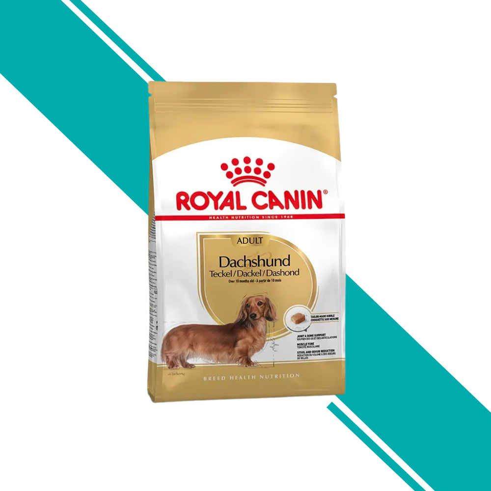 Royal Canin Adult Dachshund - Dry Dog Food